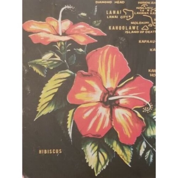 Vintage Hawaiian Islands Tin Serving Tray 13.5"x10" - Picture 5 of 8